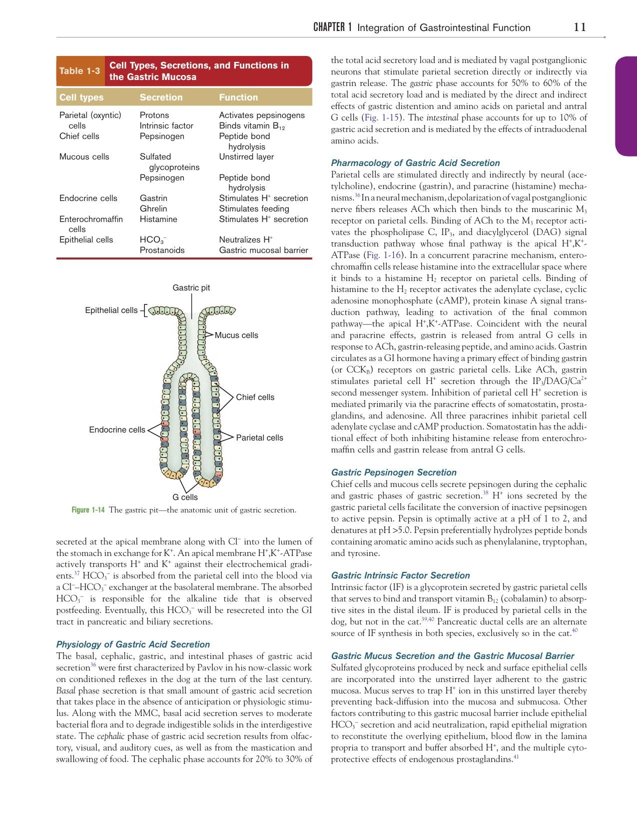 Canine And Feline Gastroenterology