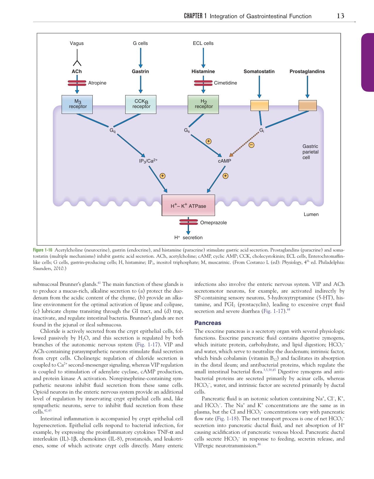 Canine And Feline Gastroenterology