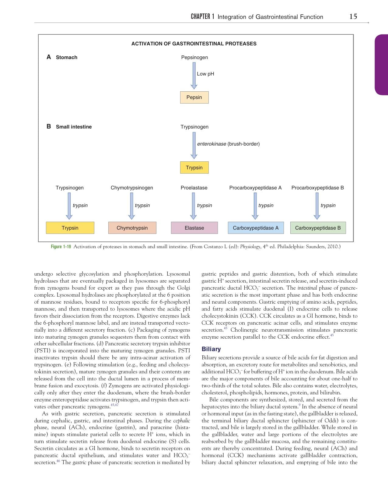 Canine And Feline Gastroenterology