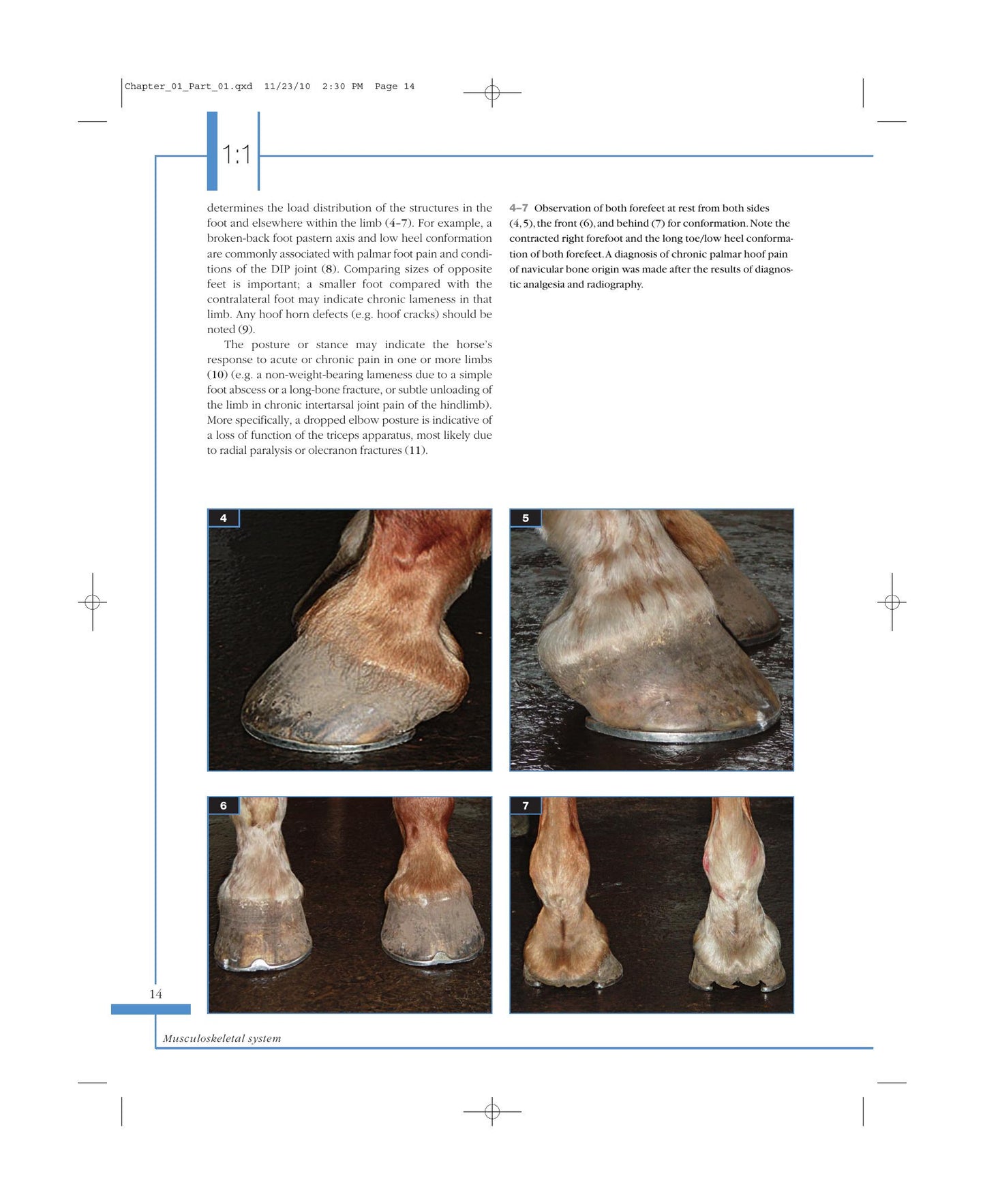 Look inside — page 15