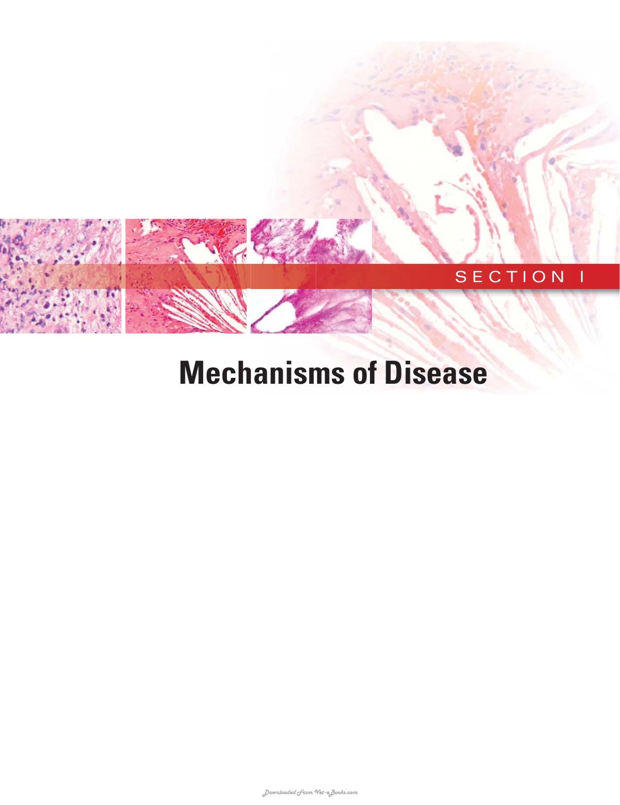 Rubins Pathology Clinicopathologic Foundations Of Medicine 7Th Edition