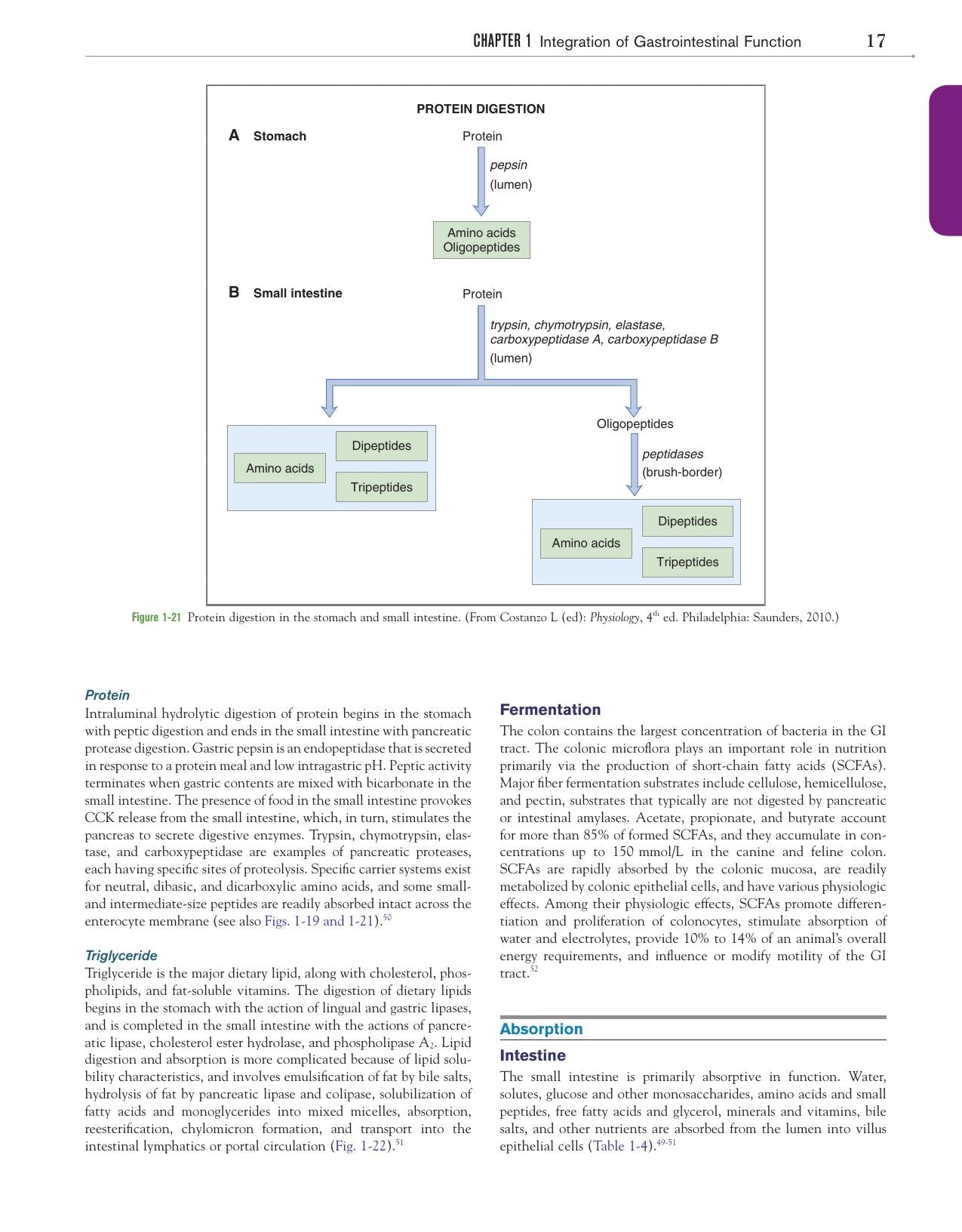 Canine And Feline Gastroenterology