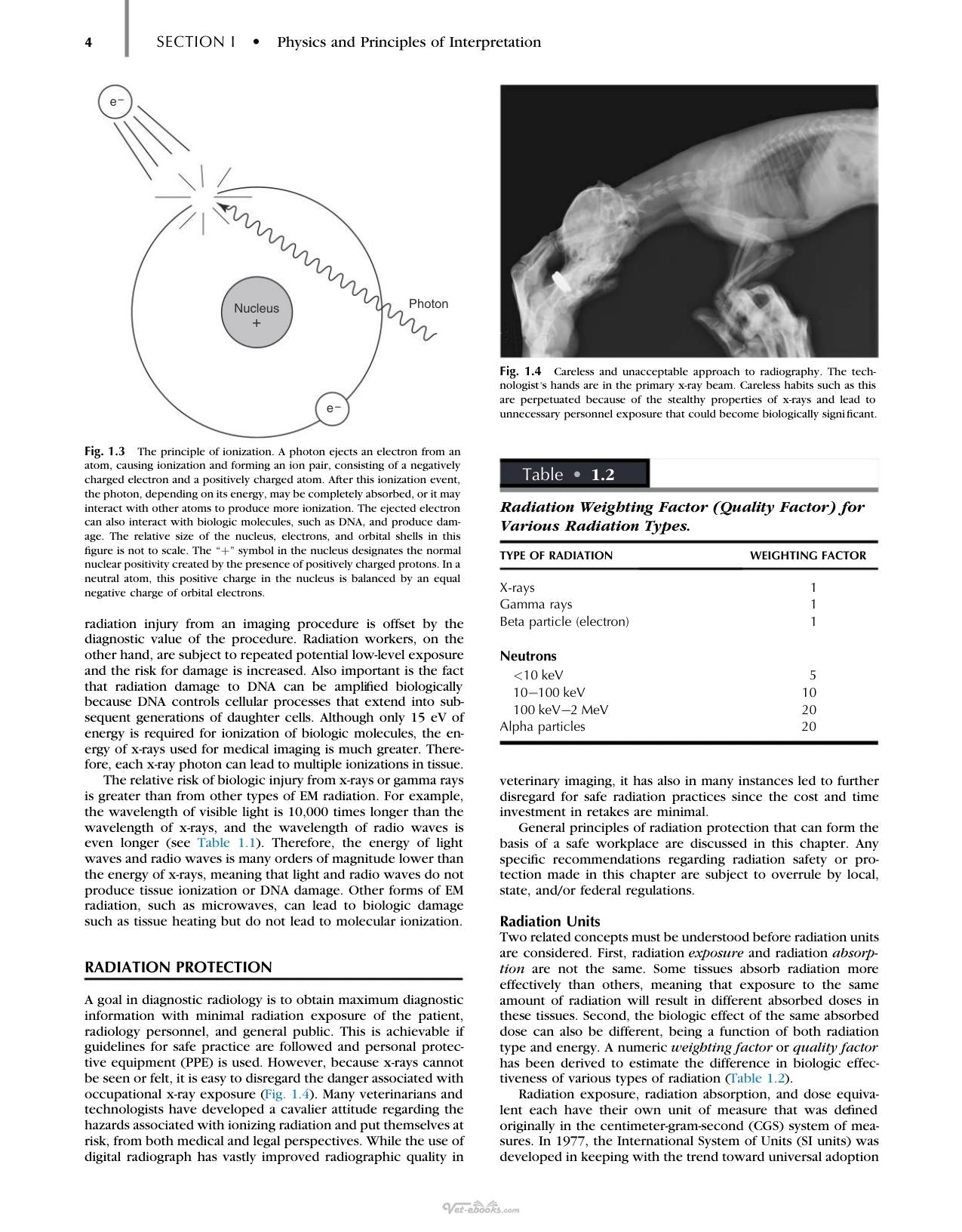 Thralls Textbook Of Veterinary Diagnostic Radiology