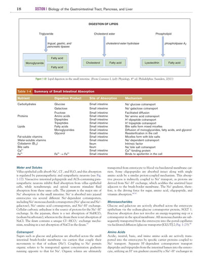 Canine and Feline Gastroenterology