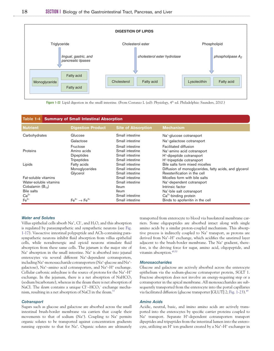 Preview page of Canine and Feline Gastroenterology