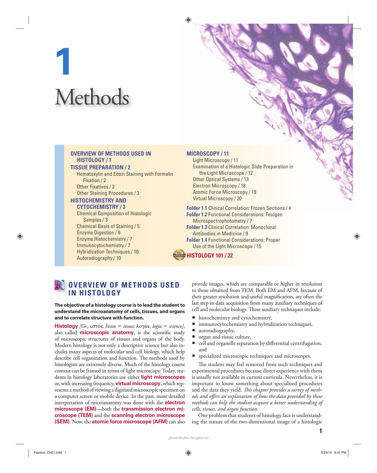 Histology A Text And Atlas With Correlated Cell And Molecular Biology 7Th Edition