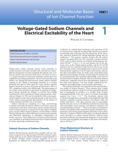 Cardiac Electrophysiology from Cell to Bedside 6th Edition