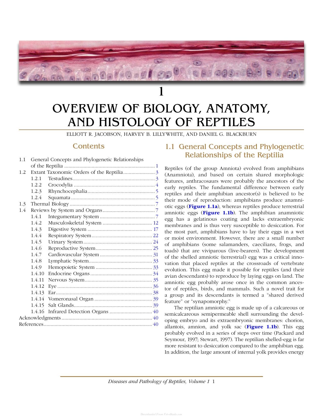 Look inside — page 19