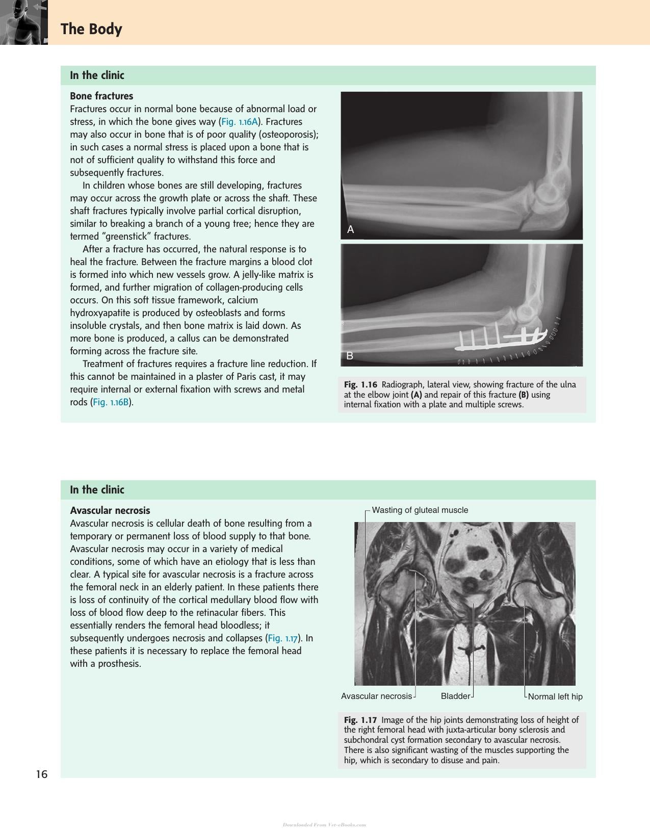 Look inside — page 19