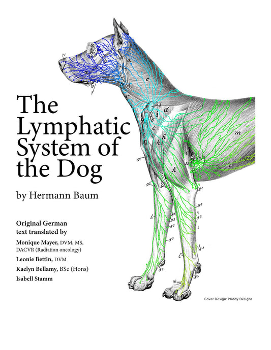 The Lymphatic System Of The Dog