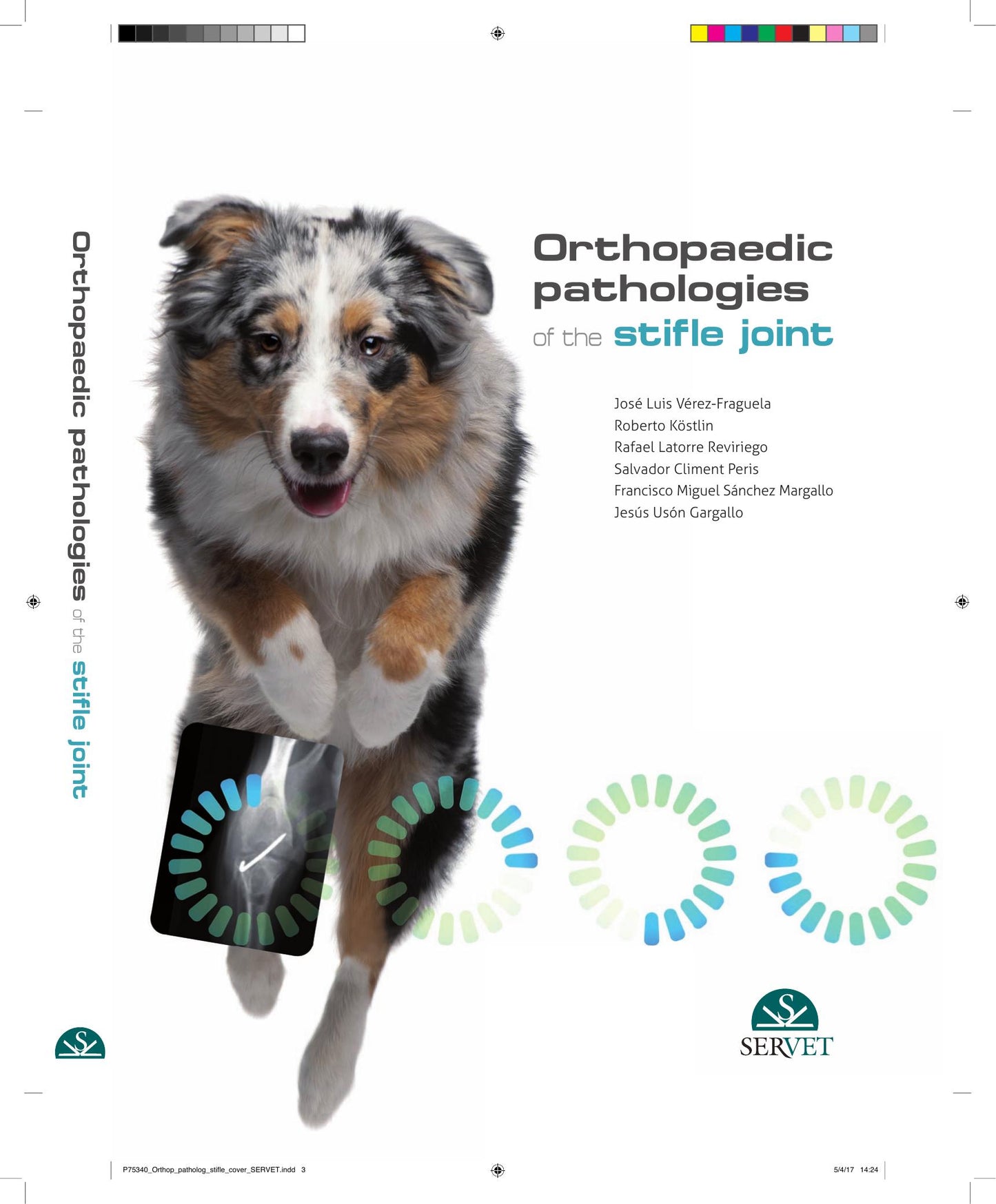 Orthopaedic Pathologies Of The Stifle Joint