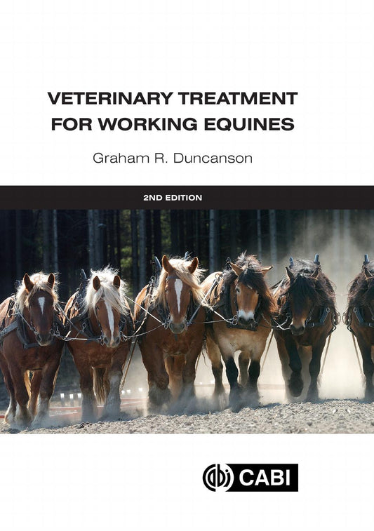 Veterinary Treatment For Working Equines