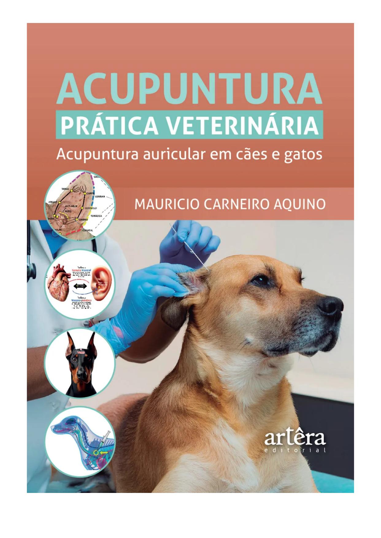 Acupuntura Pratica Veterinaria Acupuntura Auricular Em Caes E Gatos