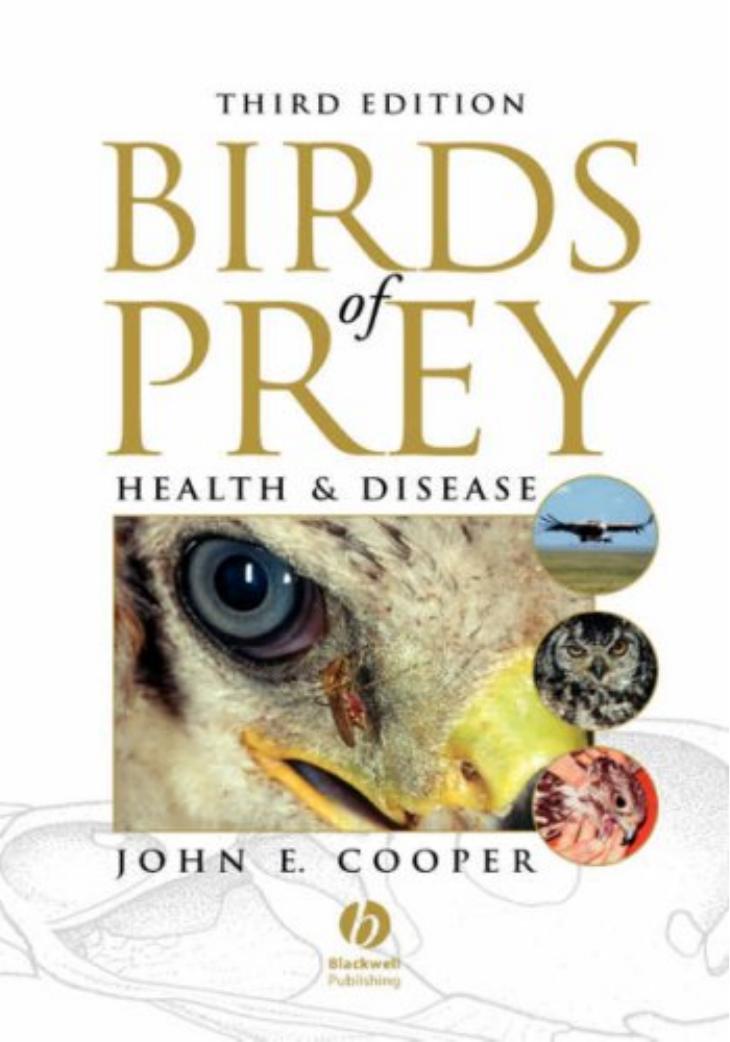 Birds Of Prey Health And Disease