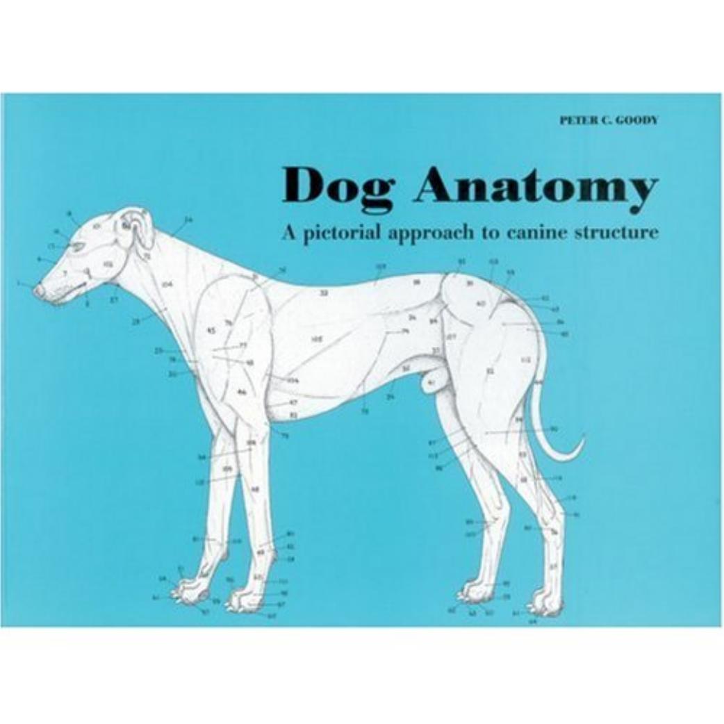 Dog Anatomy A Pictoral Approach To Canine Structure