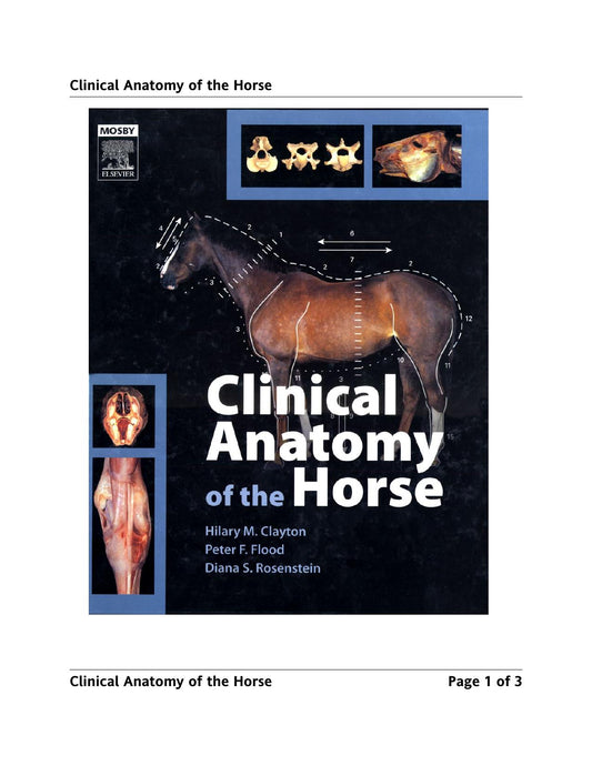Clinical Anatomy Of The Horse 1St Edition