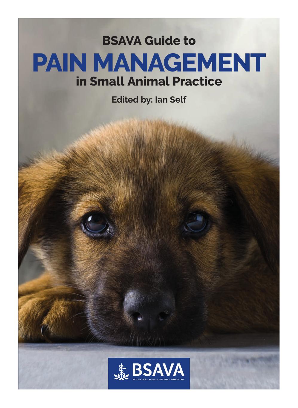 BSAVA Guide to Pain Management in Small Animal Practice