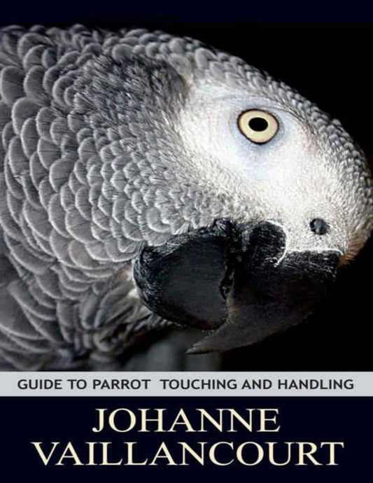 Guide To Parrot Touching And Handling