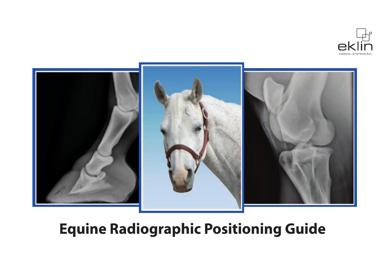 Equine Radiographic Positioning Guide