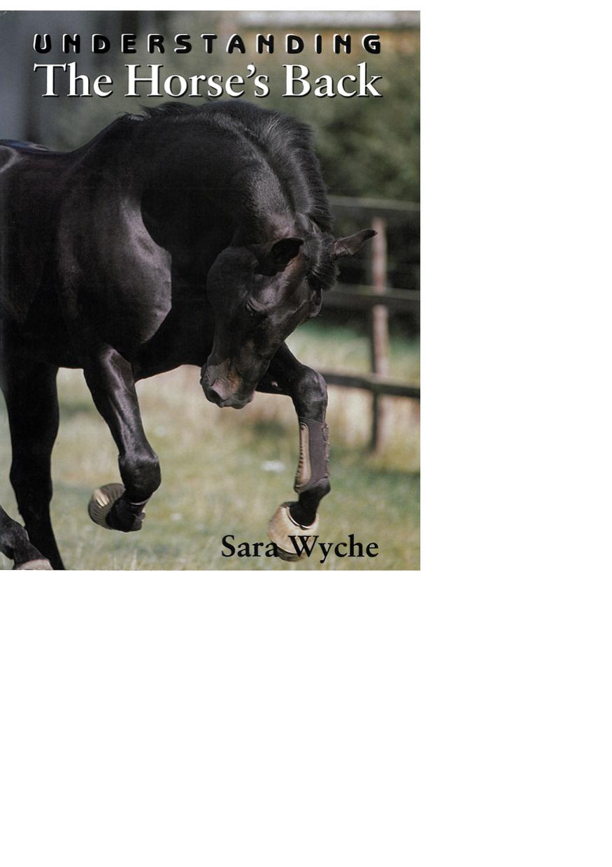 Understanding The Horses Back