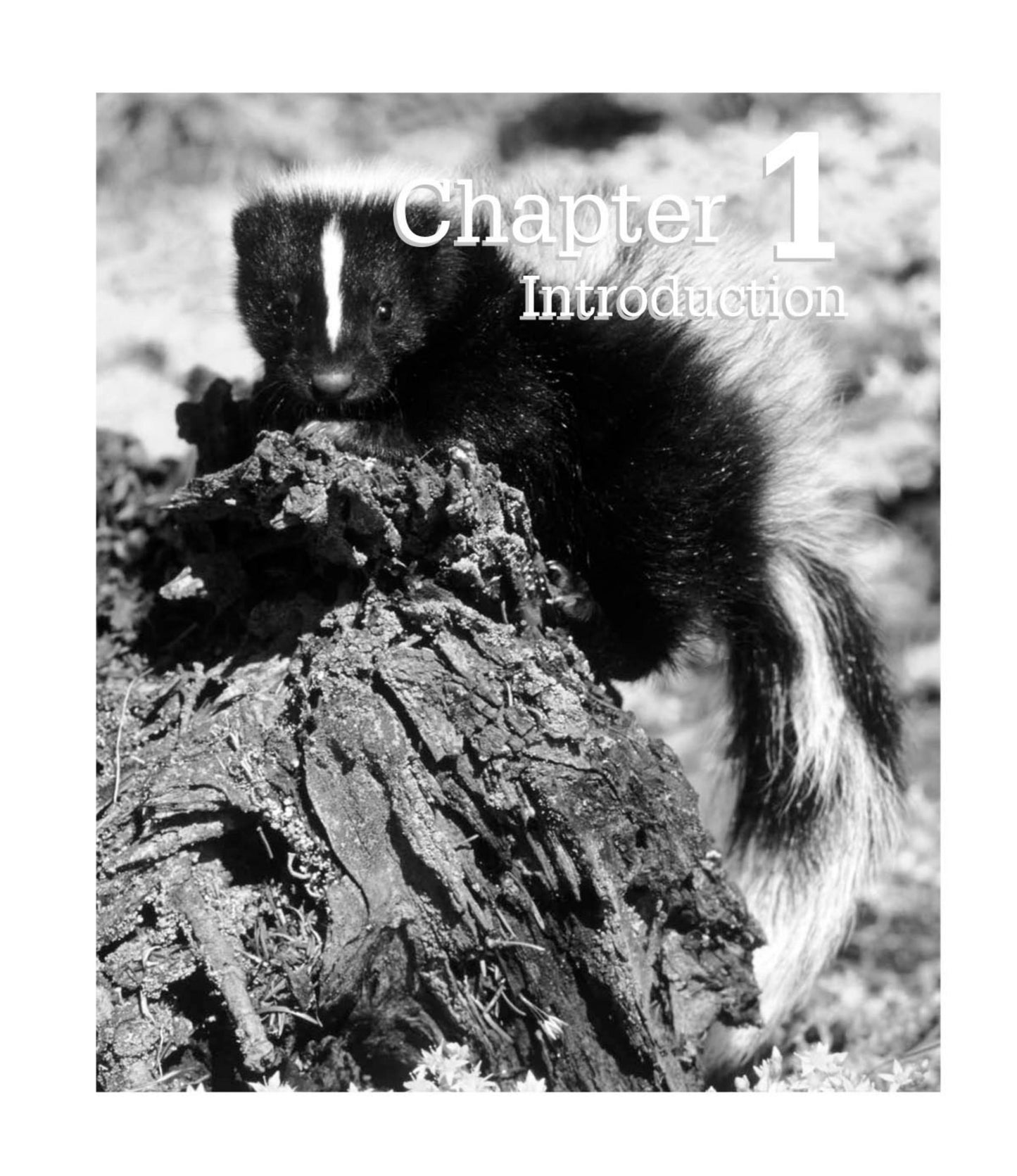 Best Practices For Wildlife Control Operators 1St Edition