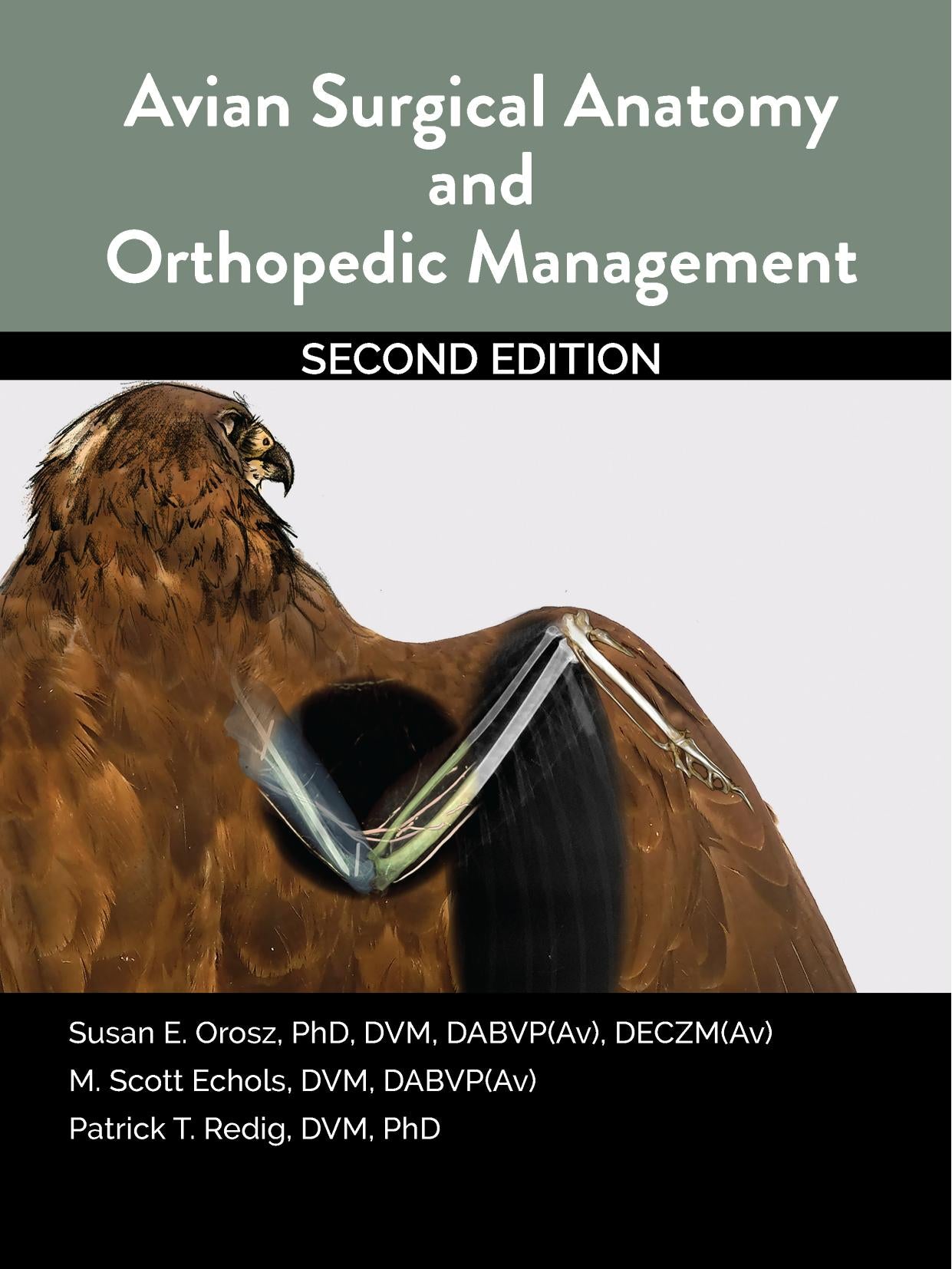 Avian Surgical Anatomy And Orthopedic Management 2nd Edition