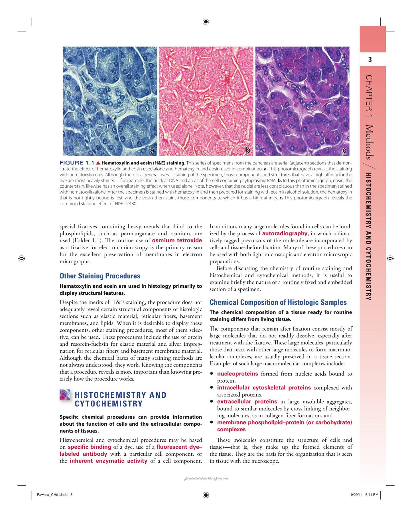 Histology A Text And Atlas With Correlated Cell And Molecular Biology 7Th Edition