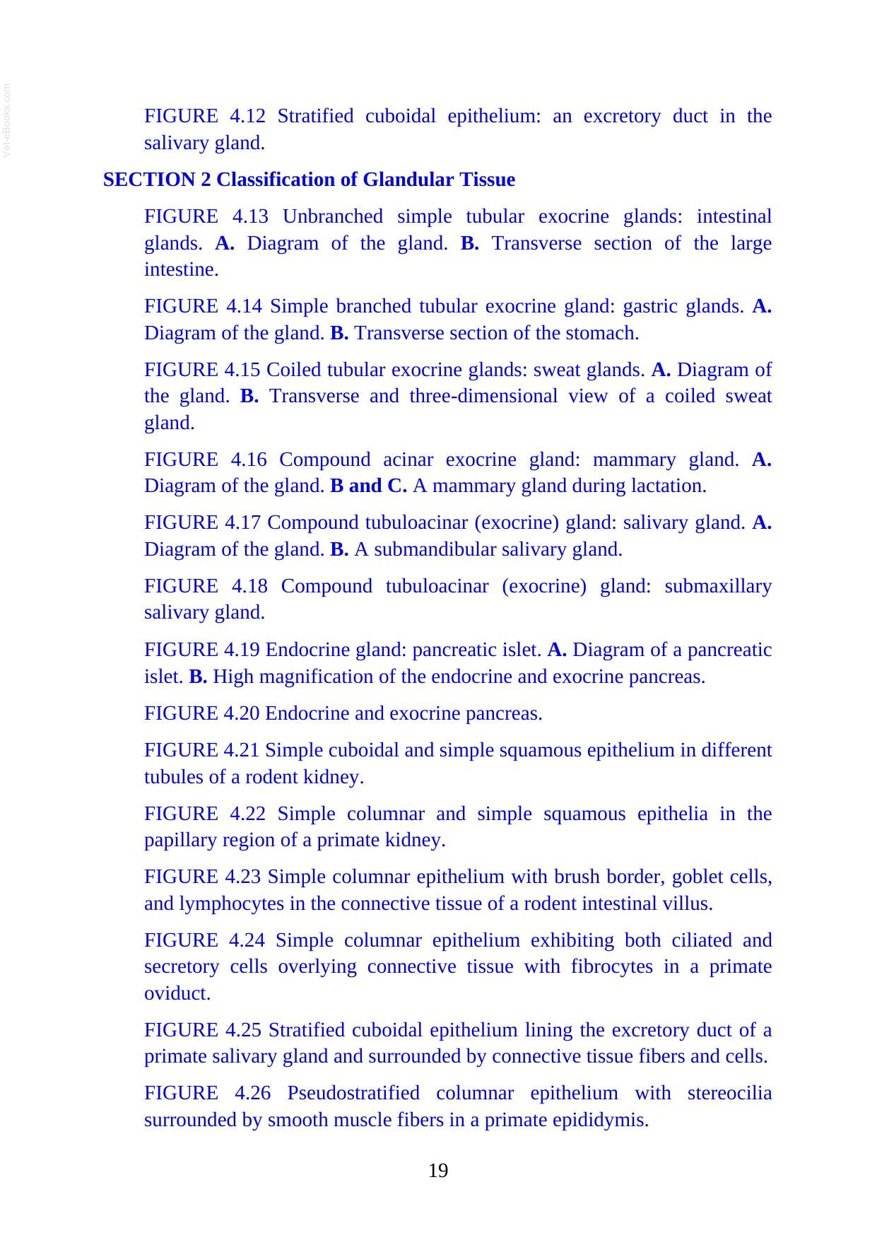 Atlas Of Histology With Functional Correlations 13Th Edition