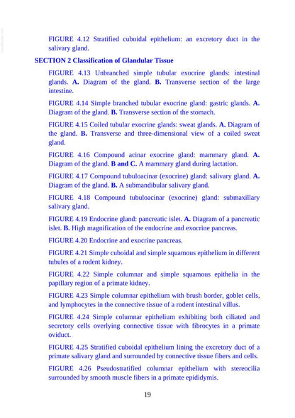 Atlas of Histology with Functional Correlations 13th Edition