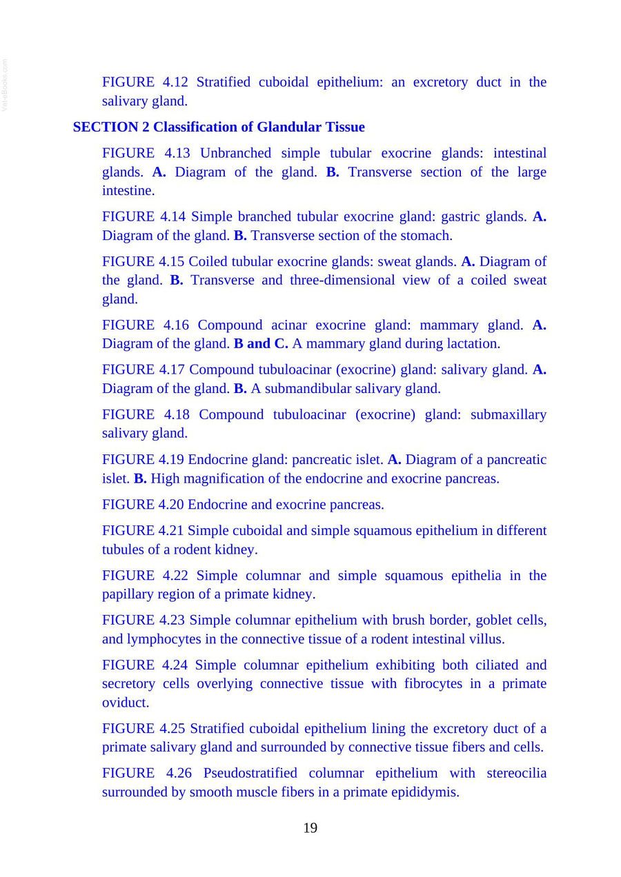 Preview page of Atlas of Histology with Functional Correlations 13th Edition