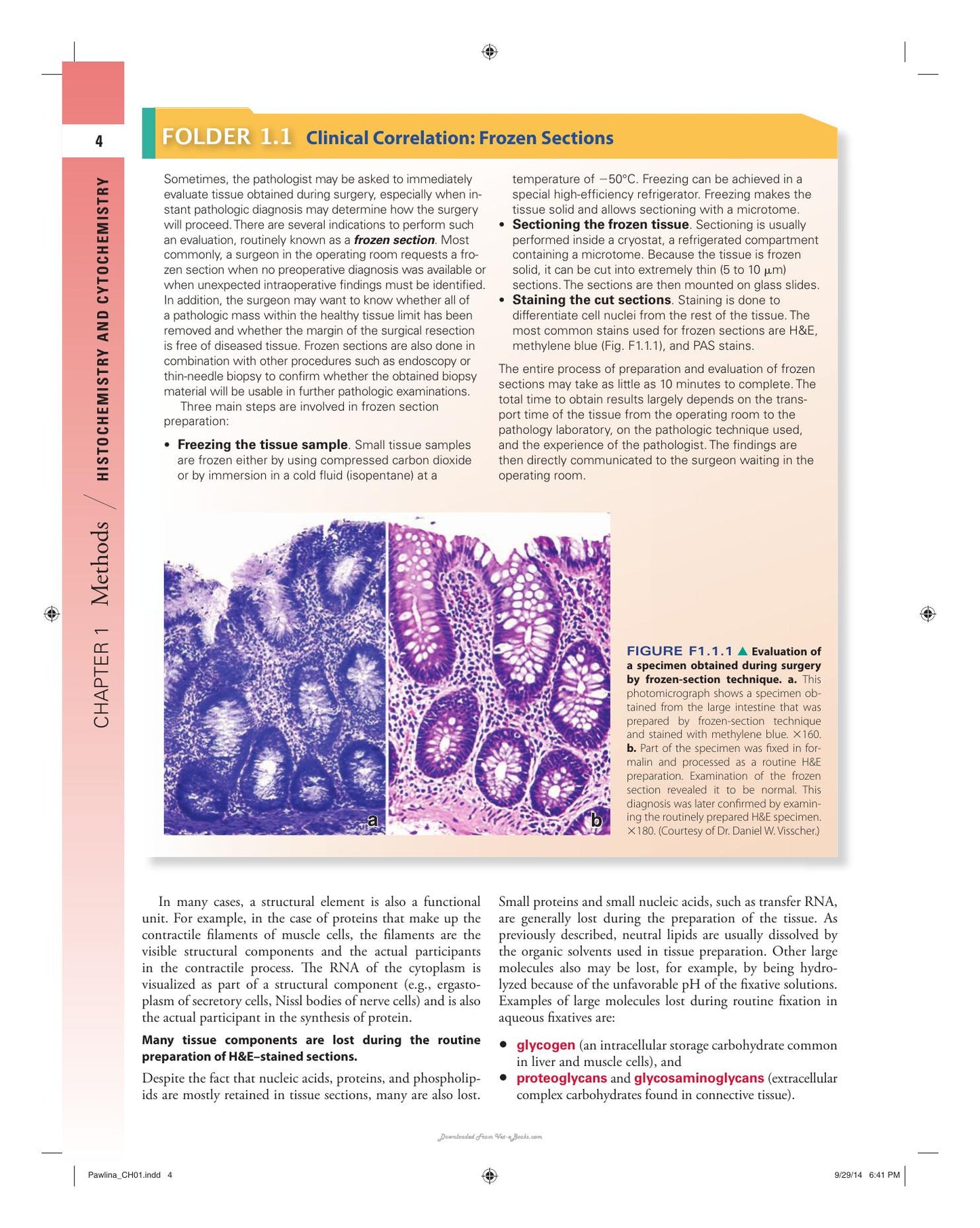 Histology A Text And Atlas With Correlated Cell And Molecular Biology 7Th Edition