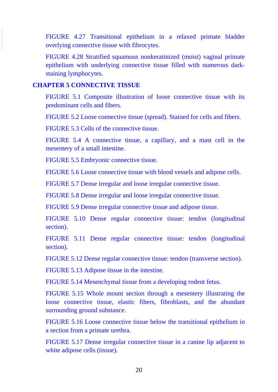 Preview page of Atlas of Histology with Functional Correlations 13th Edition