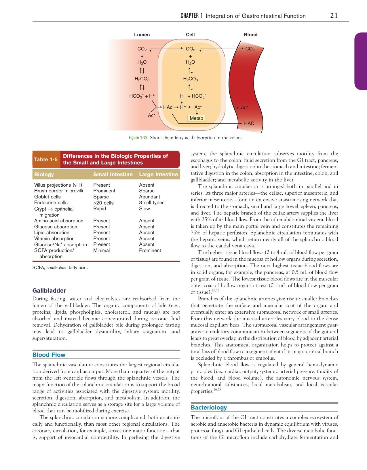 Canine And Feline Gastroenterology