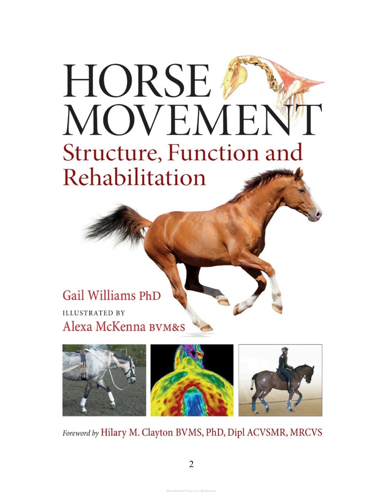 Horse Movement Structure Function And Rehabilitation