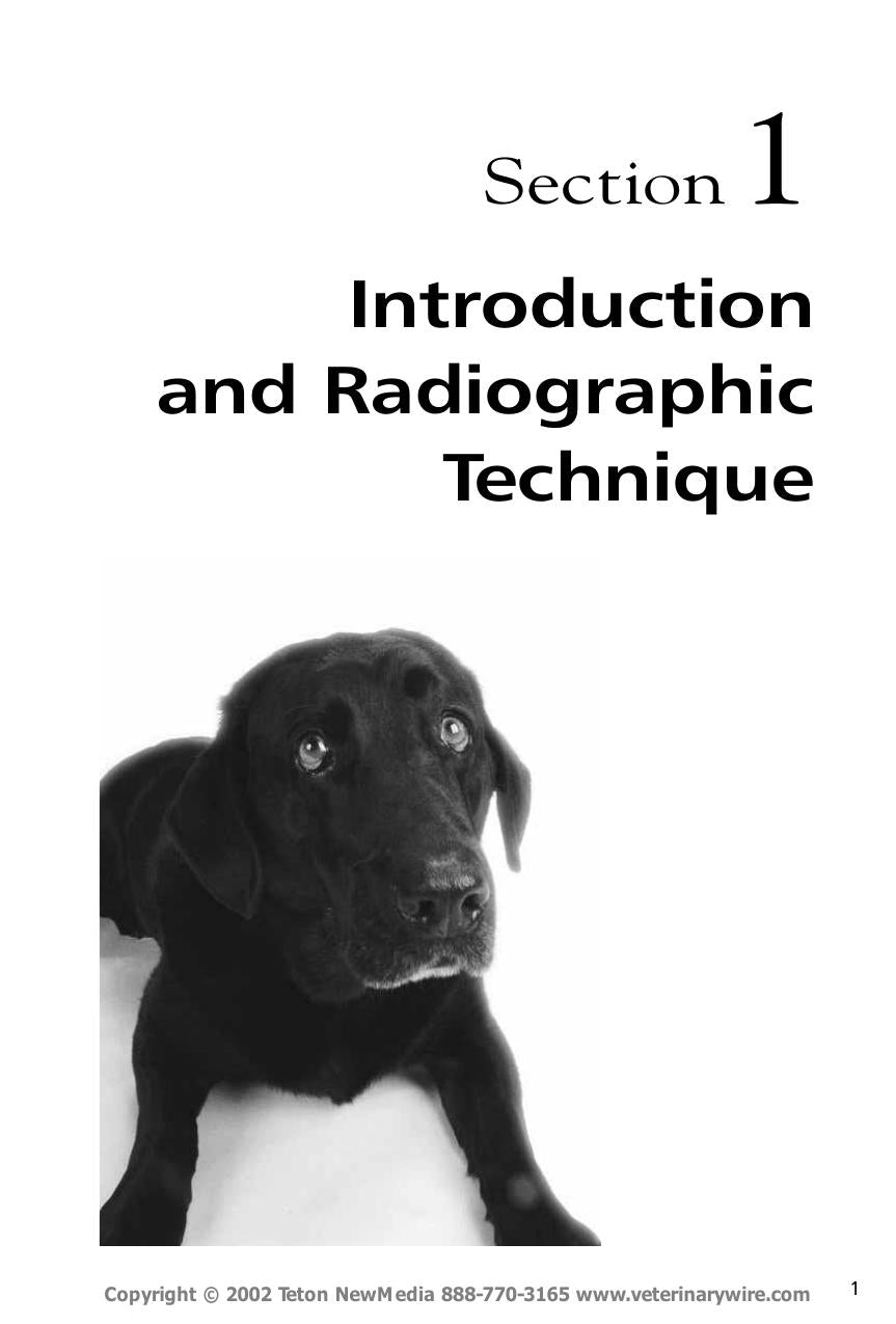 Abdominal Radiology for the Small Animal Practitioner
