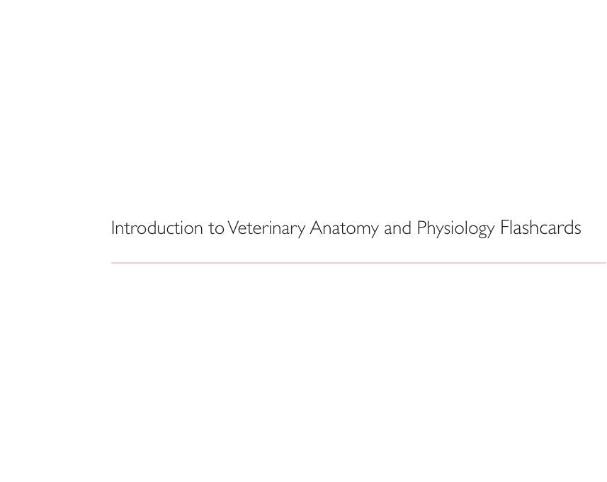 Introduction To Veterinary Anatomy And Physiology Flashcards