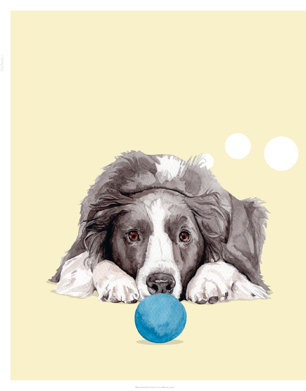 Whats My Dog Thinking Understand Your Dog To Give Them A Happy Life