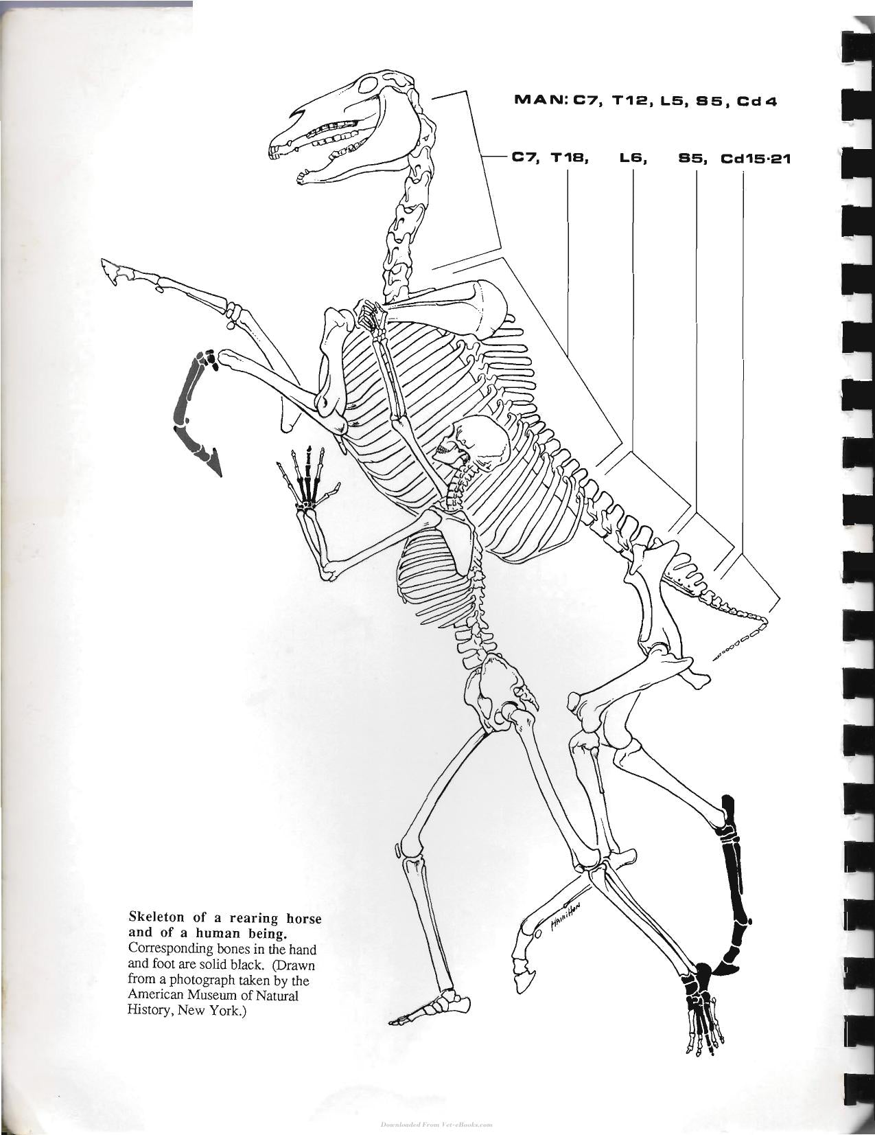 Look inside — page 2