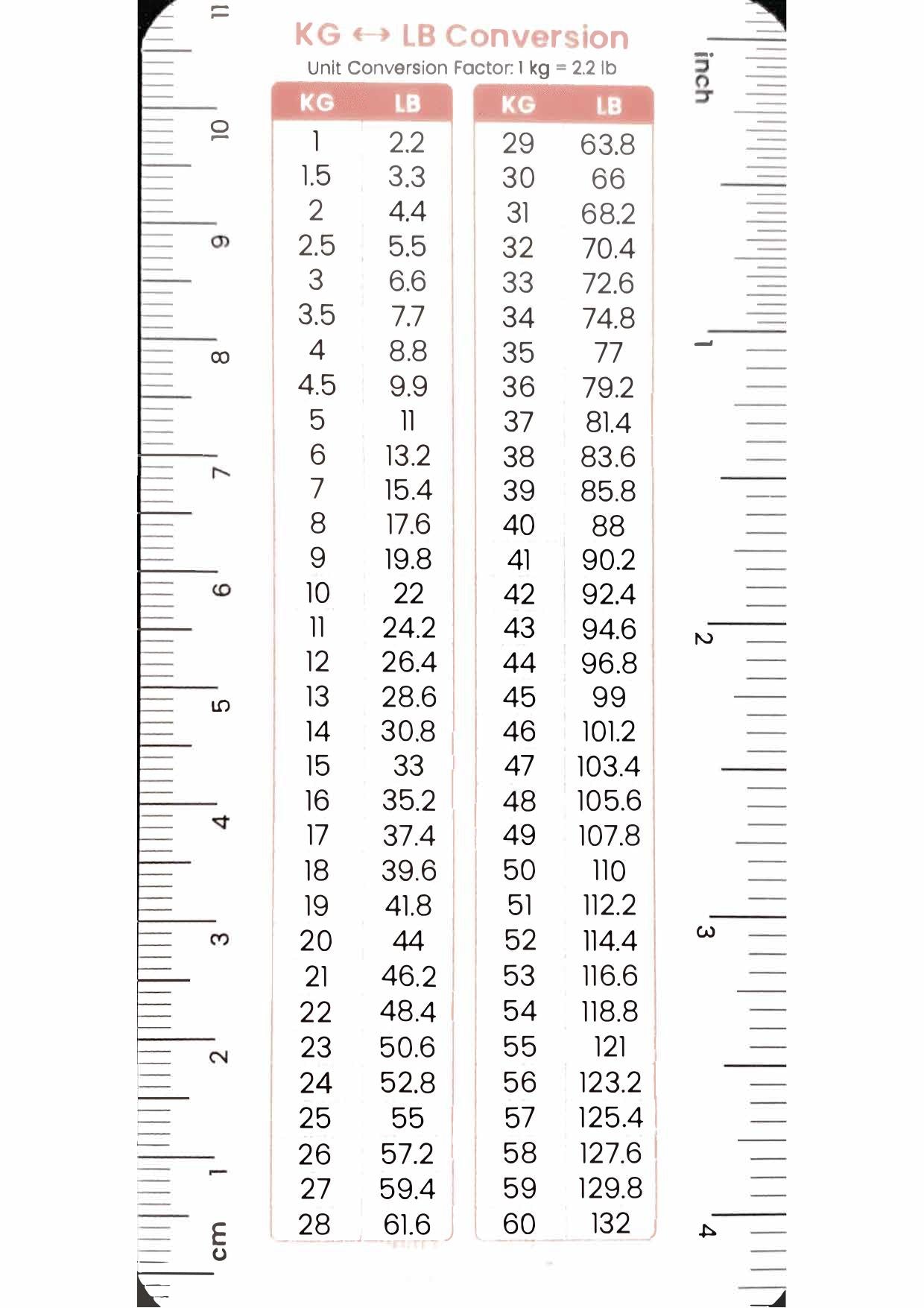 Vetpocket Small Animal Reference Cards