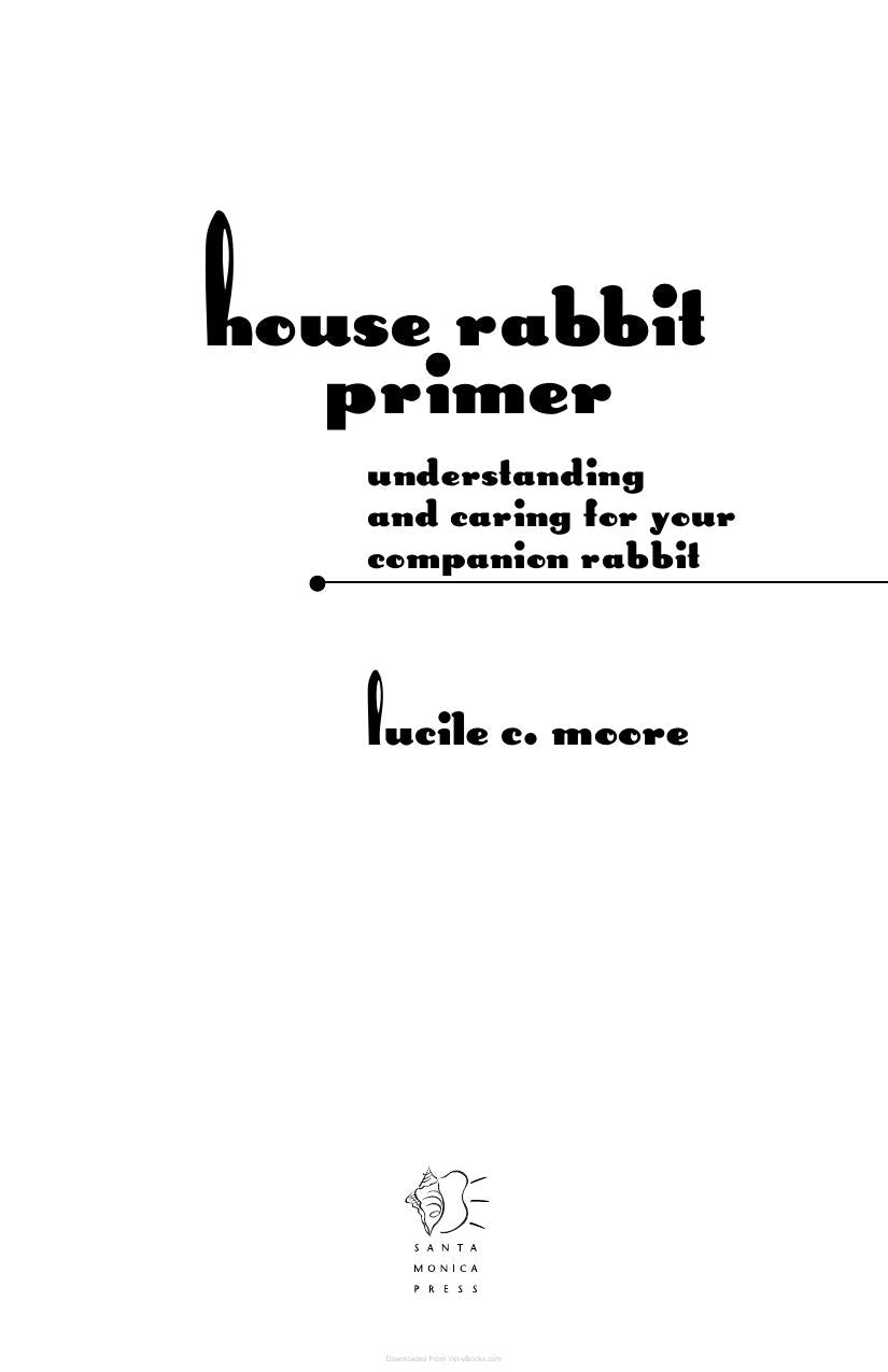 A House Rabbit Primer Understanding And Caring For Your Companion Rabbit