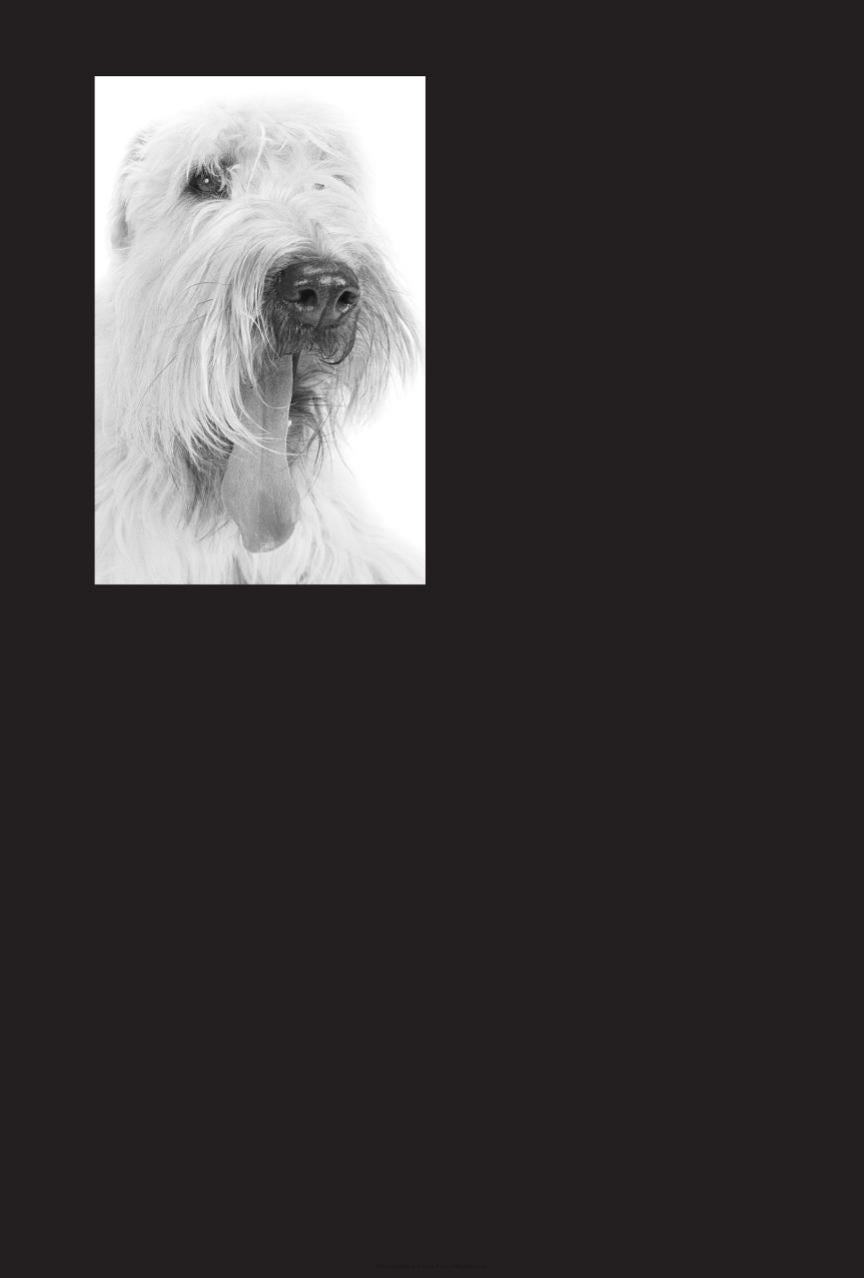 Laboratory Urinalysis And Hematology For The Small Animal Practitioner
