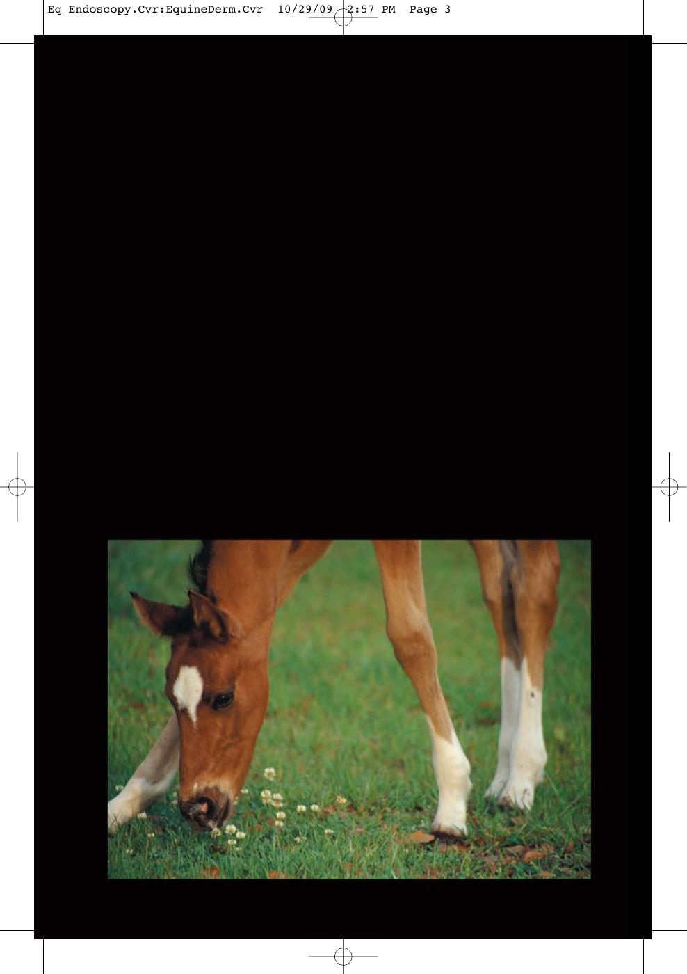 Equine Endoscopy And Arthroscopy For The Equine Practitioner
