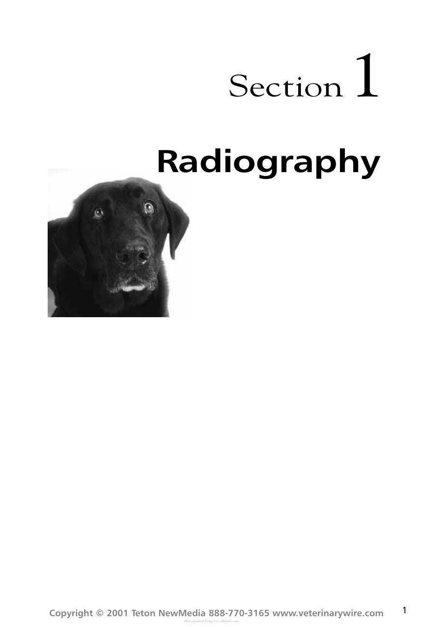 Thoracic Radiology For The Small Animal Practitioner