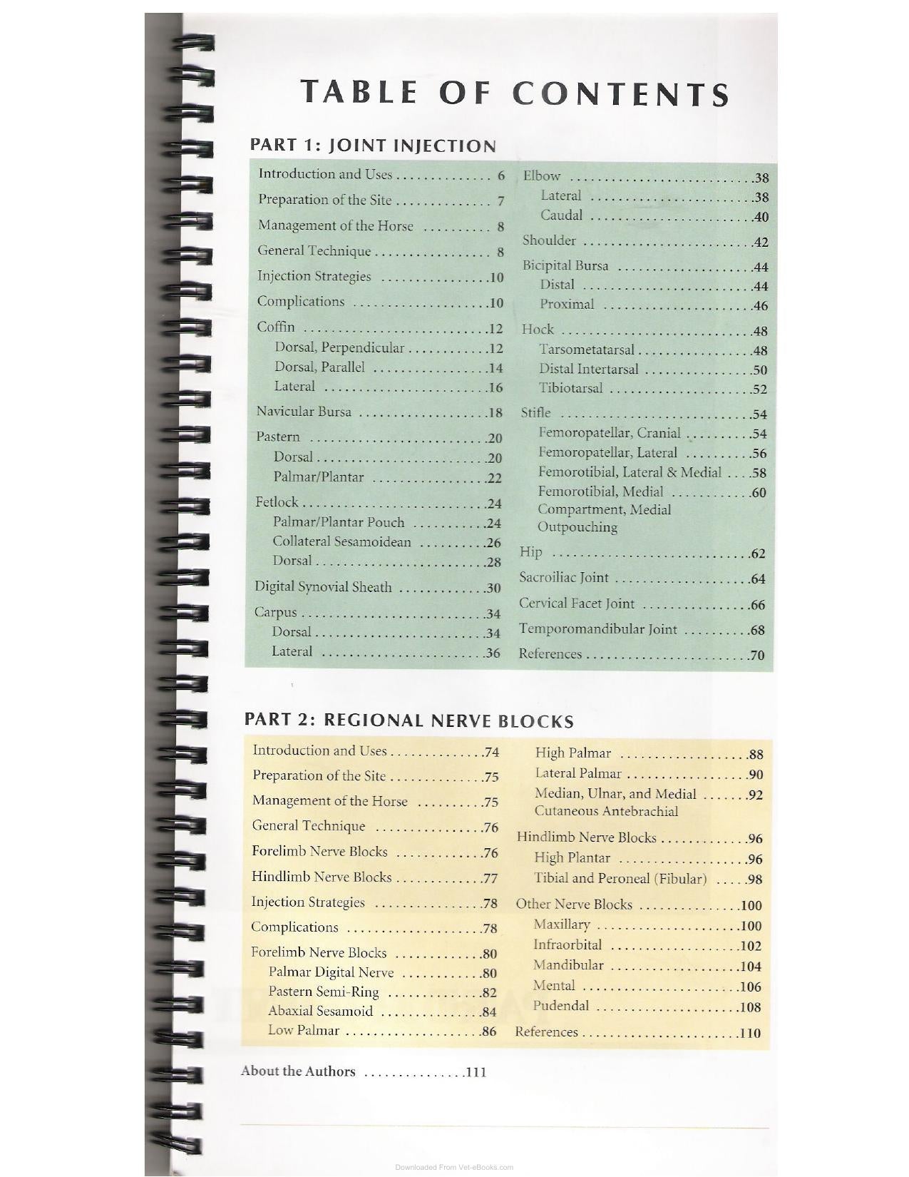 A Guide To Equine Joint Injection And Regional Anesthesia