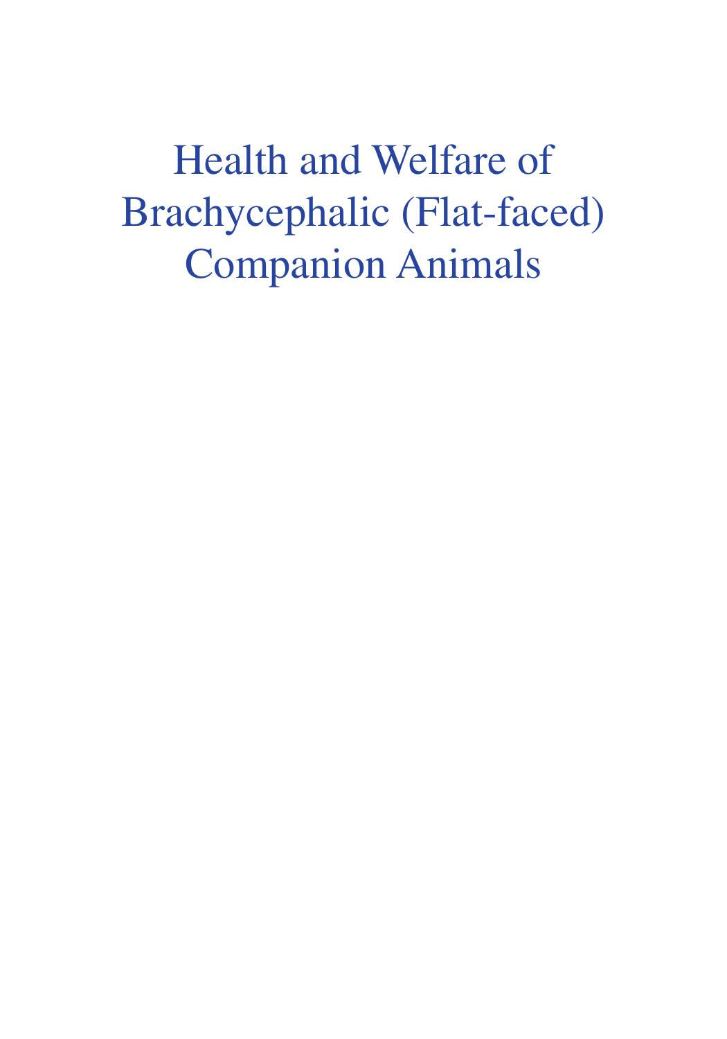Health and Welfare of Brachycephalic Flat Faced Companion Animals a Complete Guide for Veterinary and Animal Professionals