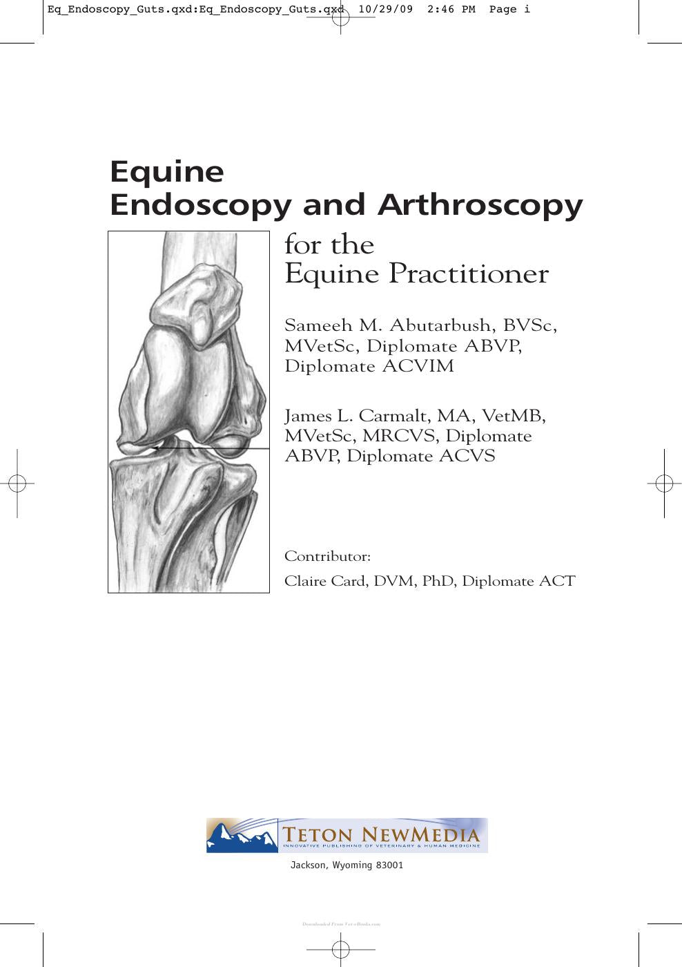 Equine Endoscopy And Arthroscopy For The Equine Practitioner