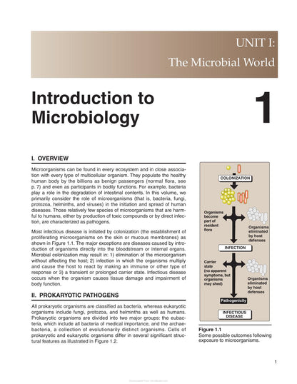 Lippincotts Illustrated Reviews Microbiology 3rd Edition