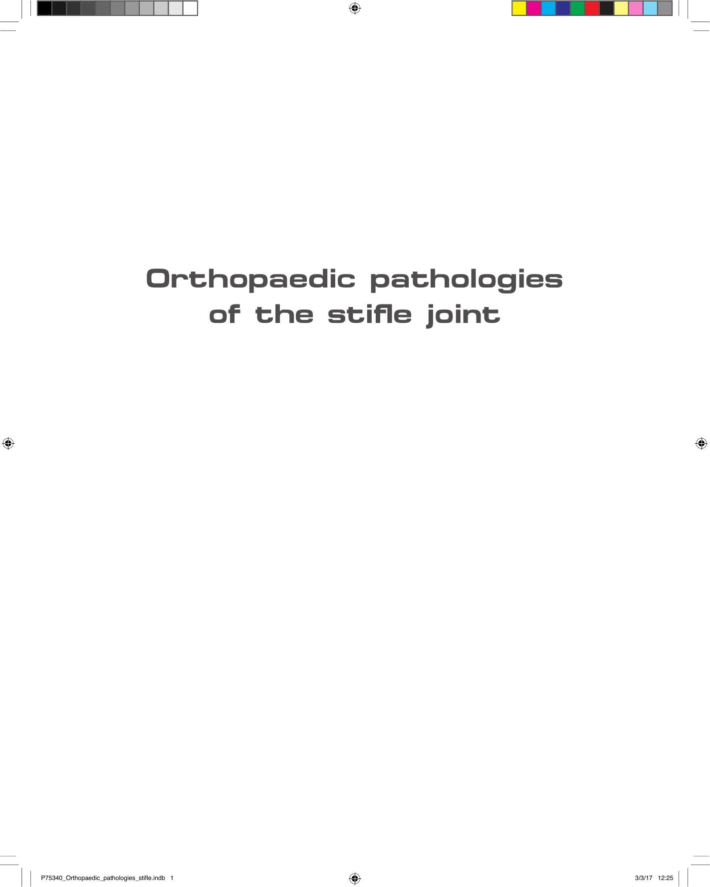Orthopaedic Pathologies Of The Stifle Joint