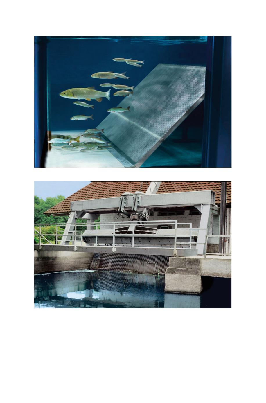 Fish Protection Technologies And Fish Ways For Downstream Migration