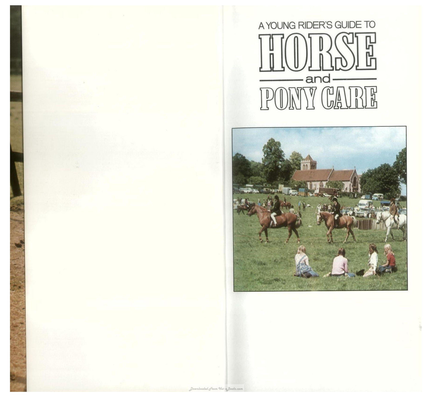 Young Riders Guide To Horse And Pony Care